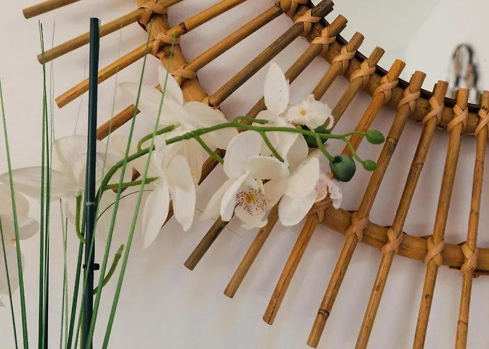 Falesia 25 Apartment