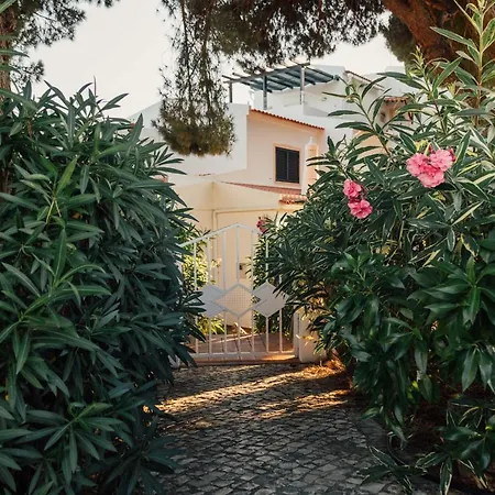 Apartment Falesia 25 *