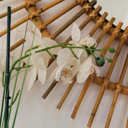 Falesia 25 Apartment